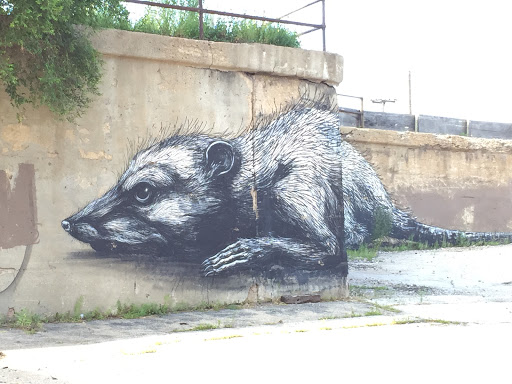 Rat Mural