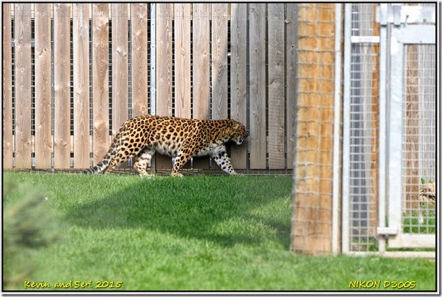 Yorkshire Wildlife Park - April