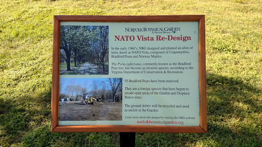 NATO Vista Re-Design