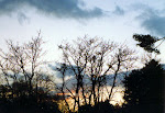 Sunset in the valley, Michaux State Forest in Pennsylvania.