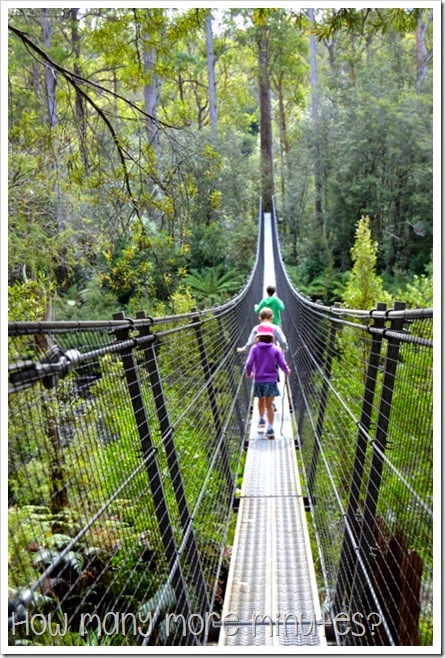 Tahune AirWalk ~ How Many More Minutes?