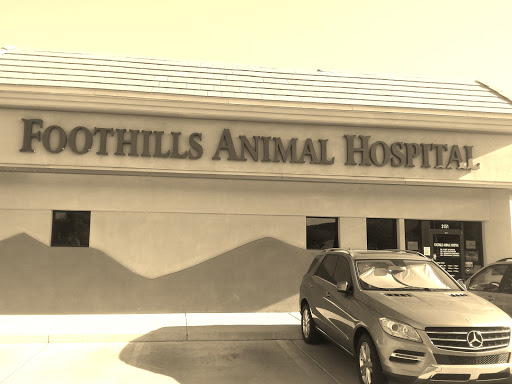 Veterinarian «Foothills Animal Hospital», reviews and photos