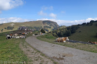 Kurz nach der Alm geht der Weg über in eine Schotterpassage. Kleiner, schmaler und meist illegaler Weg. Fahrverbot von 20°°-6°° und 10°°-16°°.