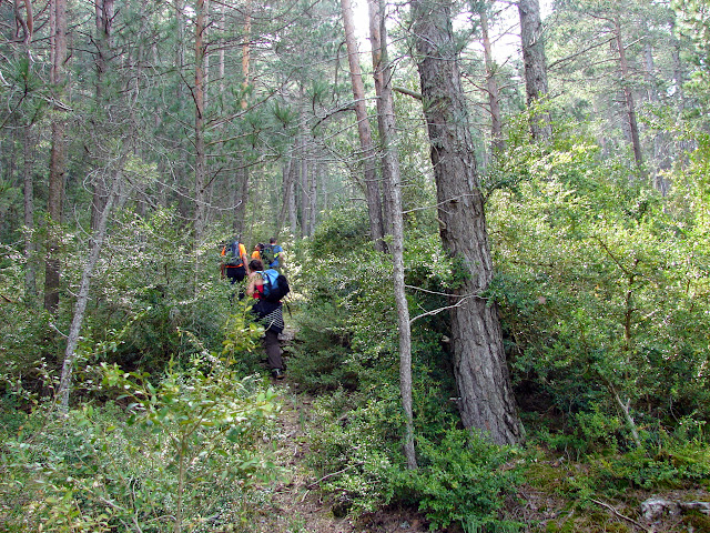 Senderismo - Coll de la Creu - Punta Boixet - Alt de la Coscollosa - Barranc de la Coscollosa