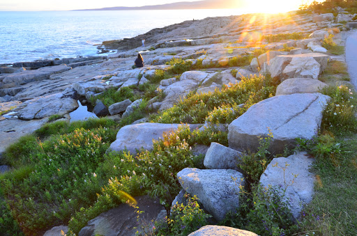 Arey Cove Rd, Winter Harbor, ME 04693, USA