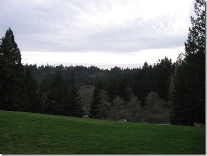IMG_2377 View from the Hoyt Arboretum at Washington Park in Portland, Oregon on February 15, 2010