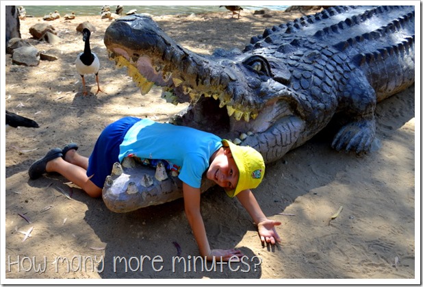 Billabong Sanctuary | How Many More Minutes?