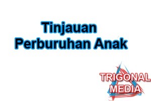 Tinjauan Perburuhan Anak