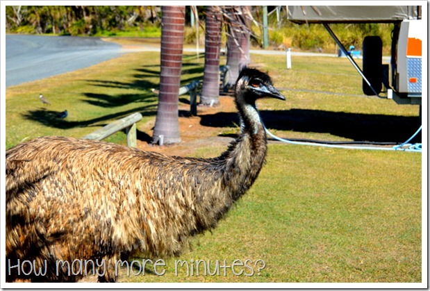 Mulambin, QLD | How Many More Minutes?