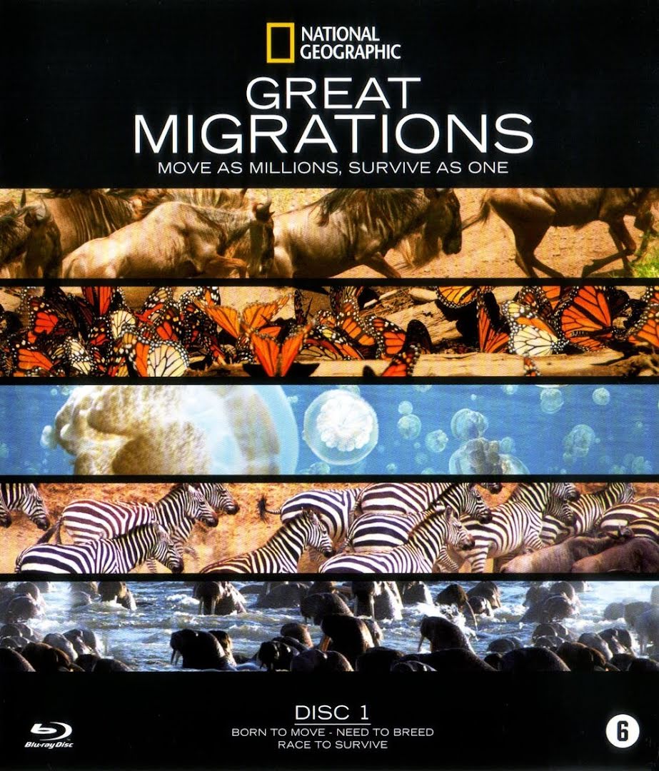 Grandes migraciones - National Geographic: Great Migrations (2010)
