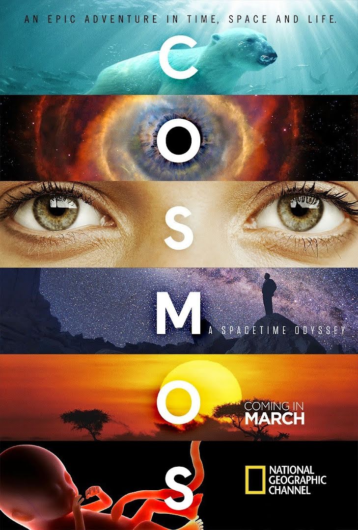 Cosmos: A Space-Time Odyssey (2014)