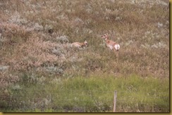 IMG_0670 IMG_0670