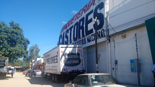 Paquetería Castores, Av. 10 de mayo #310, Col del Maestro, 68010 Oaxaca, Oax., México, Empresa de transporte por camión | OAX