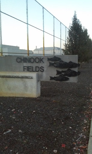 Chinook Fields Fish Salmon