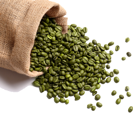 [Green-Coffee-Bean%255B6%255D.png]