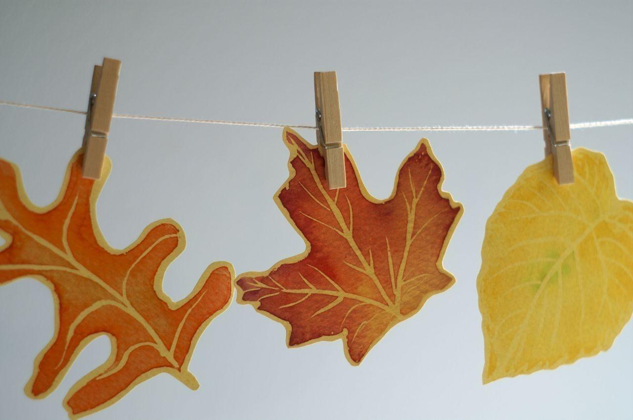 Fall Leaf Cut Outs - Place