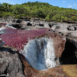 Coliseo -  Caño Cristales - La  Macarena, Colômbia