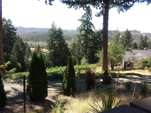 Winery «Noble Estate Vineyard and Winery», reviews and photos, 29210 Gimpl Hill Rd, Eugene, OR 97402, USA