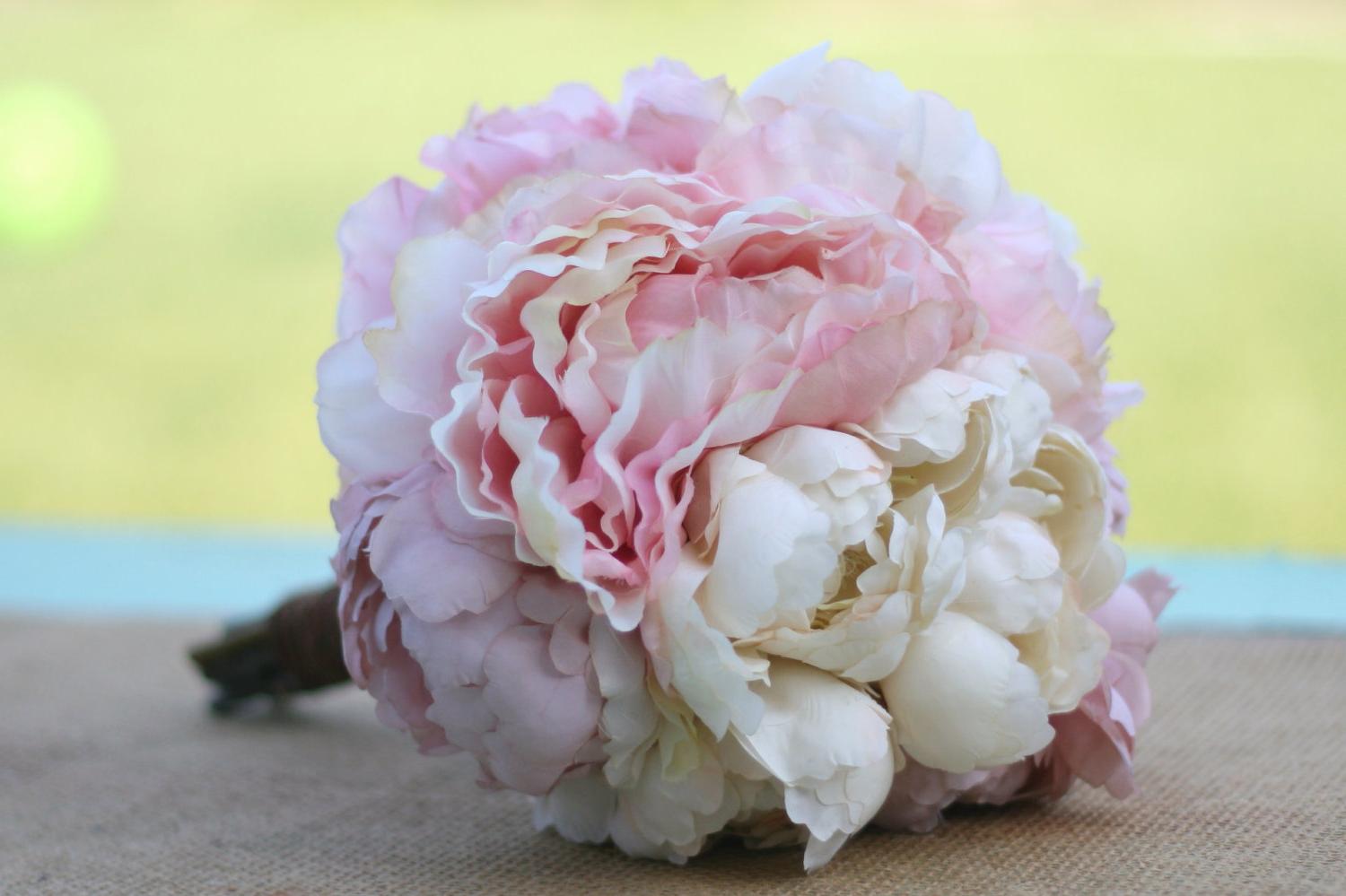 Cream Pink peony flowers