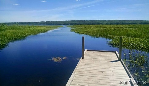 5. 6-20-15 Messalonskee Lake Boat ramp