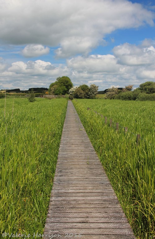 [13-boardwalk%255B2%255D.jpg]