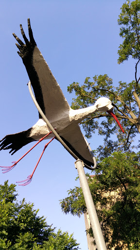 Walldorf Storch Im Anflug