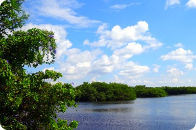 J.N. “Ding” Darling National Wildlife Refuge