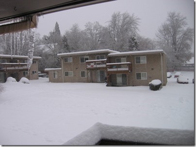IMG_4819 Snow in Milwaukie, Oregon on December 22, 2008