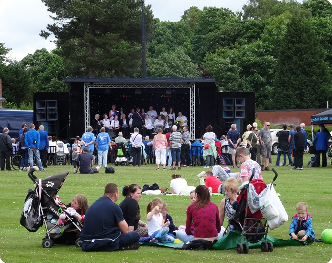 Picnic in the Park for the Armed Forces