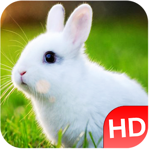 Download Animal Sounds & Pictures 2018 For PC Windows and Mac