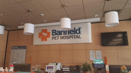 Veterinarian «Banfield Pet Hospital», reviews and photos