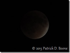 Lunar Eclipse 15