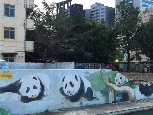 Panda Wall
