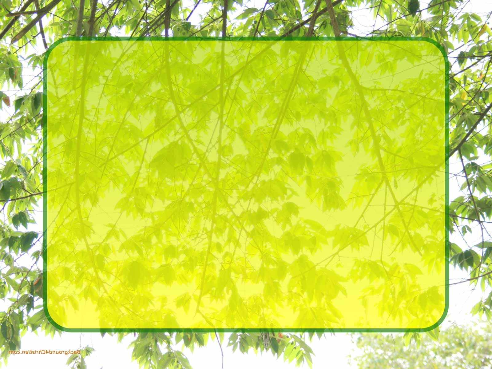 Leaf Tree Frame Background  