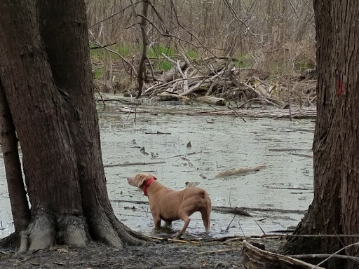 Nature Preserve «Indian Creek Nature Center», reviews and photos, 5300 Otis Rd, Cedar Rapids, IA 52403, USA