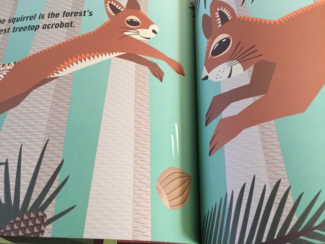 mibo animal pop out book