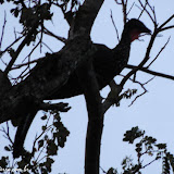 Peru selvagem - Parque Nacional Rincón de la Vieja, Costa Rica