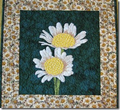 Crazy about daisies