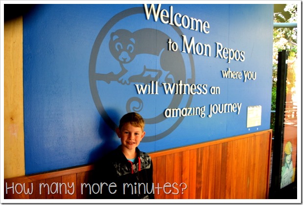 Mon Repos Turtle Centre | How Many More Minutes?