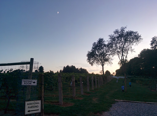 Winery «Basignani Winery», reviews and photos, 15722 Falls Rd, Sparks Glencoe, MD 21152, USA