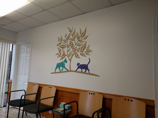 Veterinarian «Burke Forest Veterinary Clinic», reviews and photos