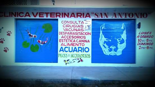Clinica Veterinaria San Antonio, Av. Ferrocarril 405, Barrio del Niño, 71250 Villa de Zaachila, Oax., México, Cuidados veterinarios | OAX