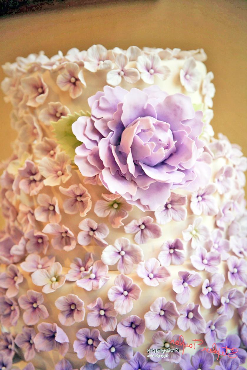 Purple Ombr   Hyndrangea Cake