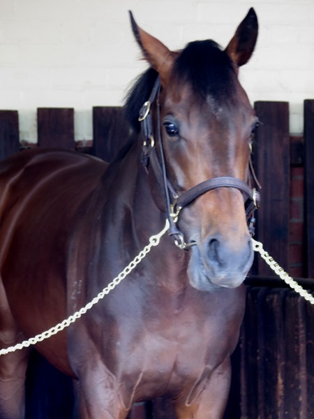 preferment_stalls 1