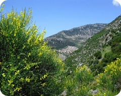 calabria-montagne