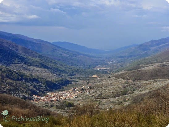 Despedida e impresiones - Valle del Jerte (2)