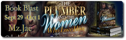 plumber banner