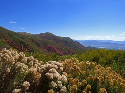 Guardsman Pass headed to Midway