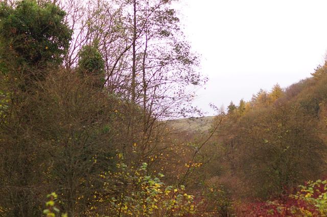 walking Cressbrook to Litton Mill