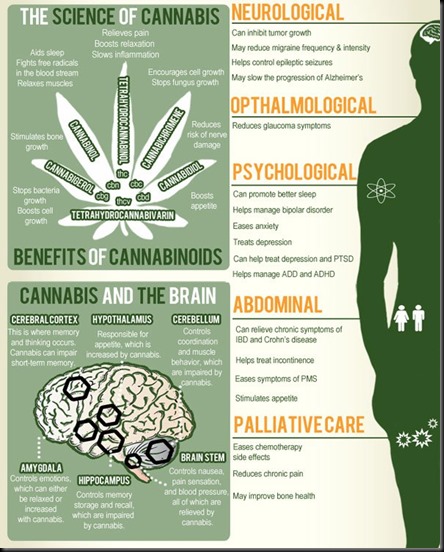 cannabis-muliti-use